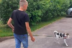 514336566_720487844092985_7672316269929092301_n