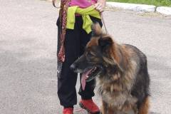 514349589_720487274093042_6815800766497879691_n