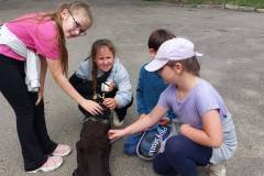 515046155_720488427426260_8229138775355290280_n