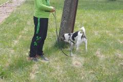 515442749_720487180759718_4919178600707908753_n