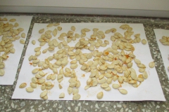 23926298_161516851121849_4835826844981347693_o