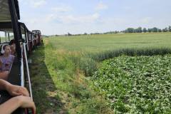 508626669_1205496304700717_4333551339940633132_n