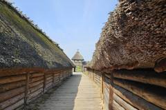 508648387_1205495961367418_7153922844353393614_n