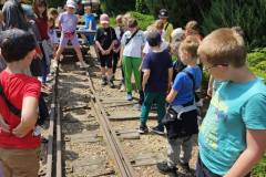 508773770_1204981408085540_2425418225836616429_n