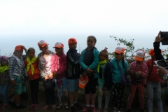 11-017