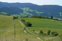 15-016