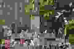 460370829_1008555627728120_5989012827936935837_n