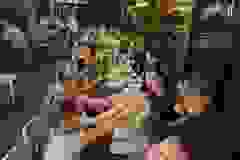 460570588_1008556647728018_8675110729810710405_n