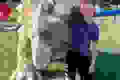 460620732_1008556301061386_7576069484764623542_n