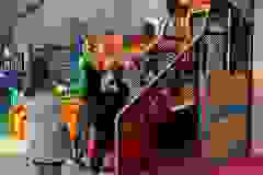 460913204_1009841074266242_6283614721270223975_n