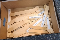 426741489_883105053606512_3069793881156710102_n