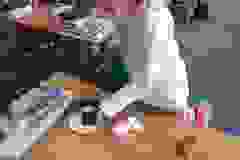 433887380_895271265723224_6340307835896445648_n
