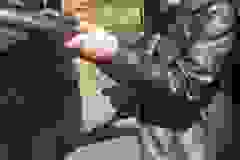 438118580_918861320030885_1627669177818408375_n