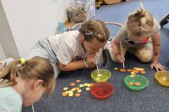 547469520_1275235457726801_7412218750303967611_n