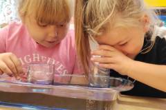 560473471_1300505255199821_5591648189096072323_n