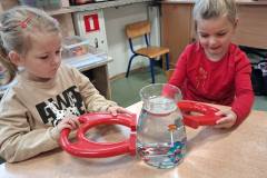 556069042_1288079266442420_961997519484632065_n