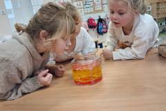 556089298_1288079866442360_582852679253301623_n