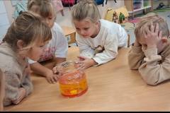 556754438_1288078619775818_1750443222796219227_n