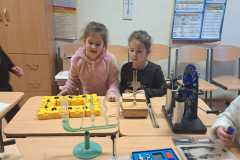 IMG-20250311-WA0004
