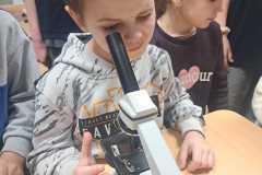 IMG-20250311-WA0005