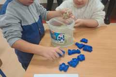 IMG-20250311-WA0009