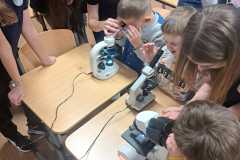 IMG-20250311-WA0035