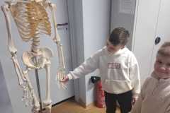 IMG-20250311-WA0038