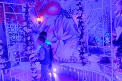 510774258_1209418300975184_7398269549485870728_n