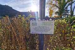 WhatsApp-Image-2025-10-31-at-13.57.02-1