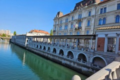 IMG_7785