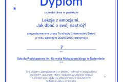 dipl_70841_1591775450